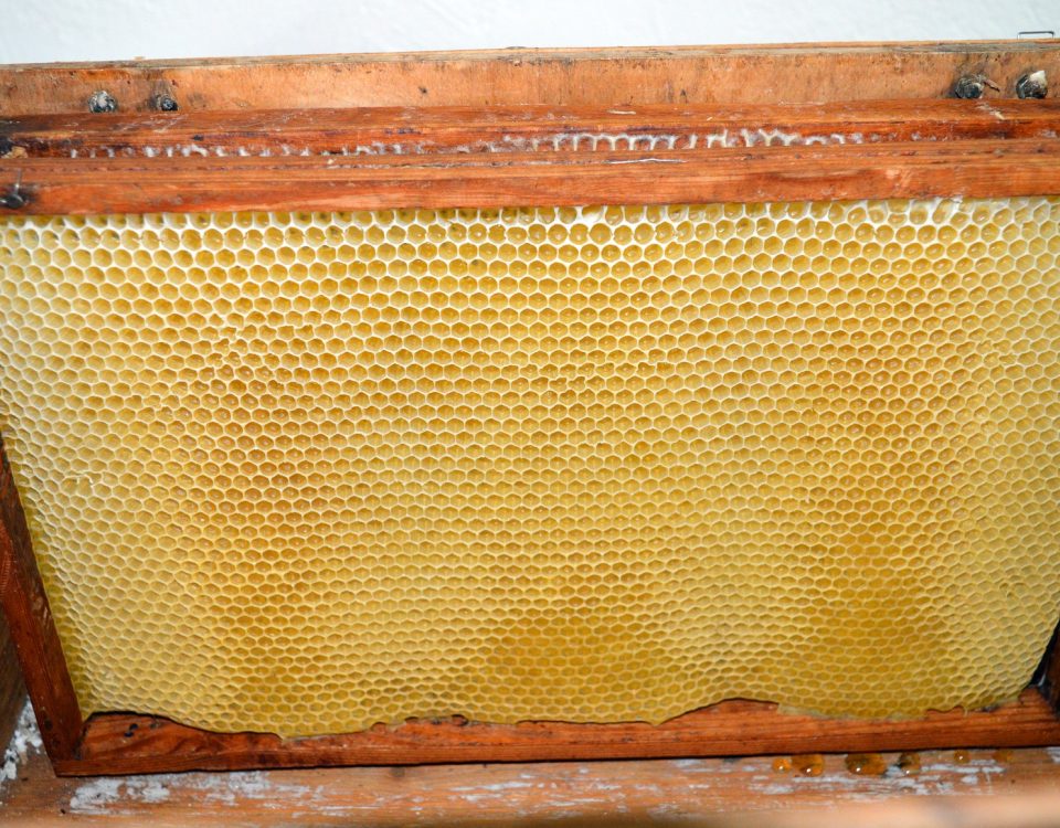 envoltorio de cera de abeja